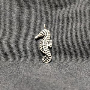 Seahorse Charm